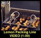 Click Here for Lemon Video